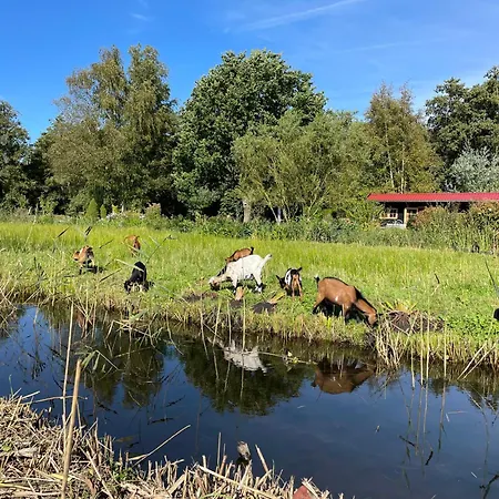 Apartamento Op De Dijk Kortenhoef