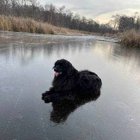 Op De Dijk Lejlighed Kortenhoef