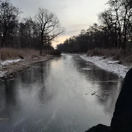 Op De Dijk