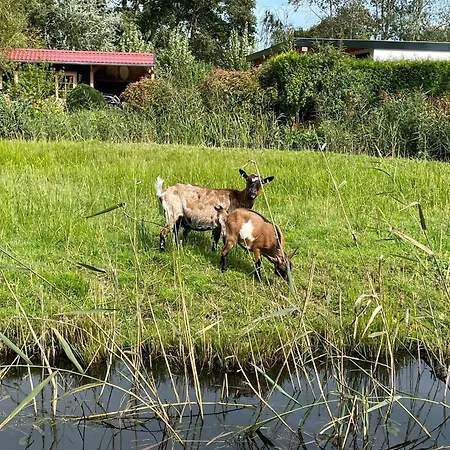 Op De Dijk Lägenhet Kortenhoef